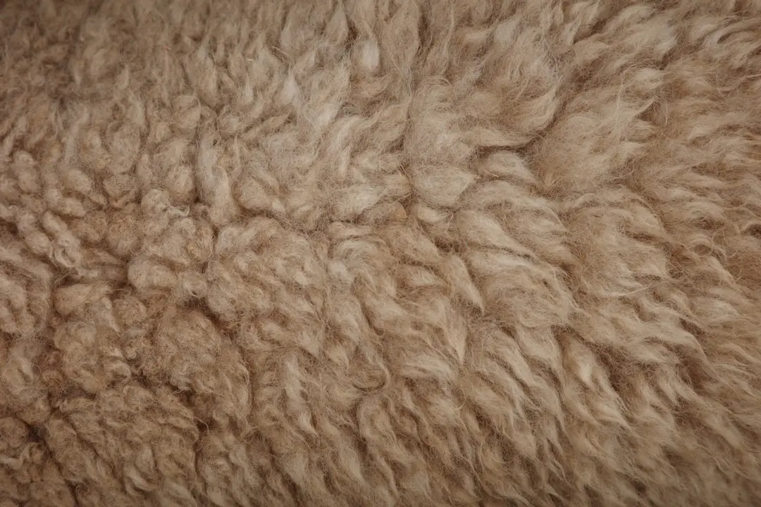 贵州昊天贸易日用百货批发选品标准与品控流程解析