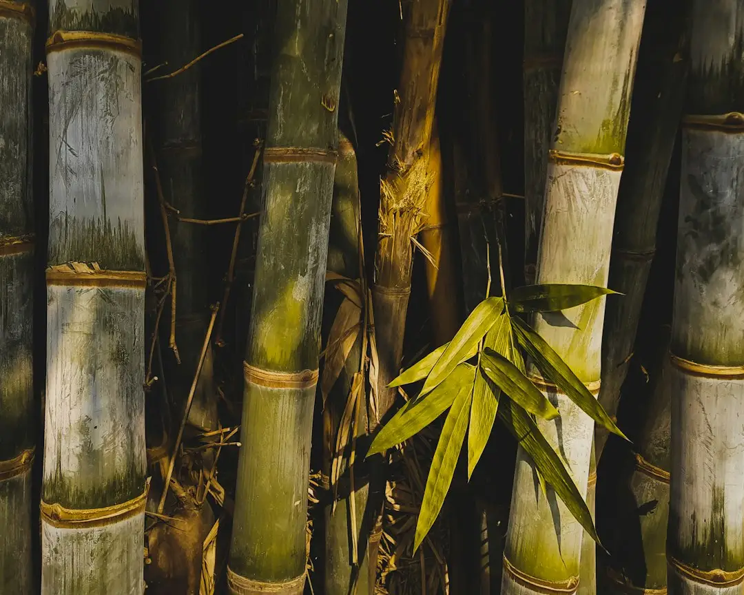 贵州日用百货批发采购指南：商超如何选择稳定供货的贸易服务商